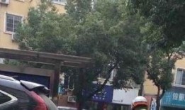 宁波爆料的视频,一场引人入胜的视觉盛宴